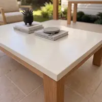 Laconian concrete coffee table close-up with succulent, architecture books, and concrete object on stone patio
