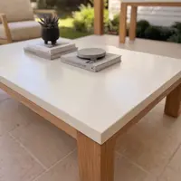 Laconian white concrete coffee table close-up with succulent, architecture books, and concrete object on stone patio
